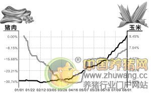 饲料原料价格汇总 猪肉价三伏天贵过正月里 经销商请养殖户食 饭又送礼