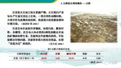 豆渣为原料生产大豆糖肽及产品简介