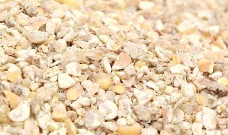 山东 原料成本高企 饲料企业下调玉米使用比例