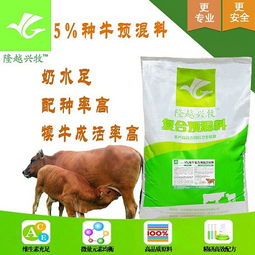 科学饲养管理 如何让母牛避免流产，提升养殖效益
