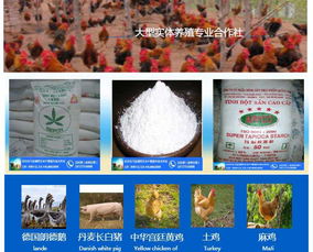 荞麦收购 汈汊湖四叉水产 在线咨询 潍坊荞麦